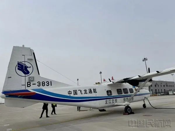 中国飞龙.jpg